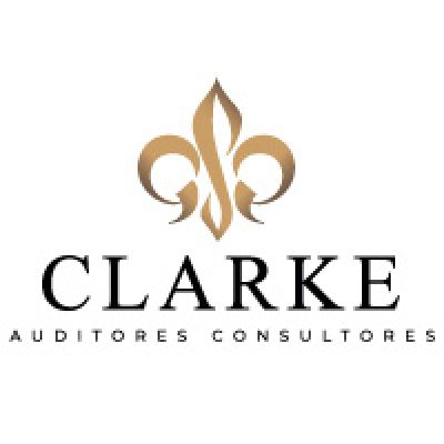 CLARKE AUDITORES CONSULTORES